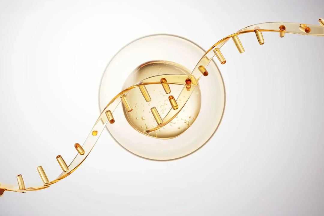 DNA Repair, Longevity